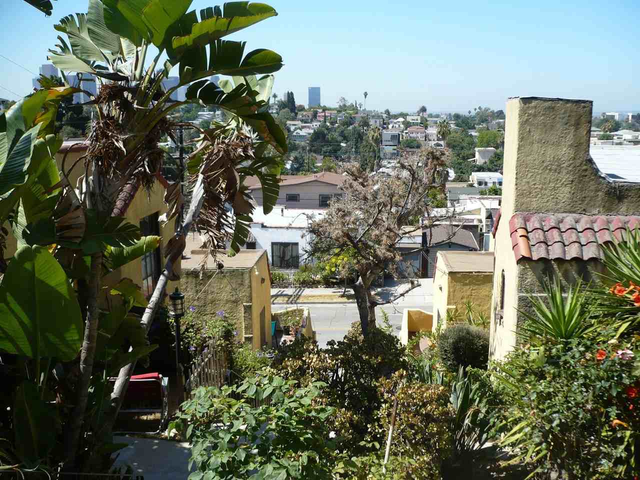 1463 Scott Avenue - Photo 2 of 50