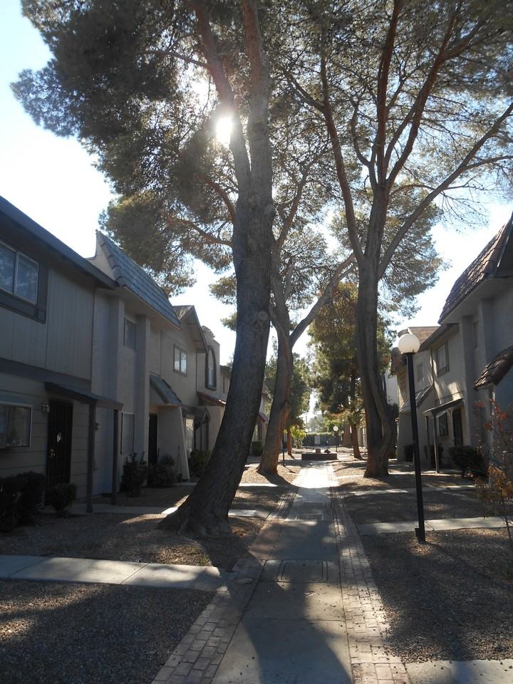 898 Rhinegold Way #1 - Photo 2 of 24