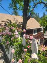 315 N School St #A - Photo 1 of 1