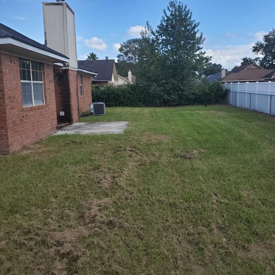 953 Wedgewood Way #1 - Photo 2 of 11