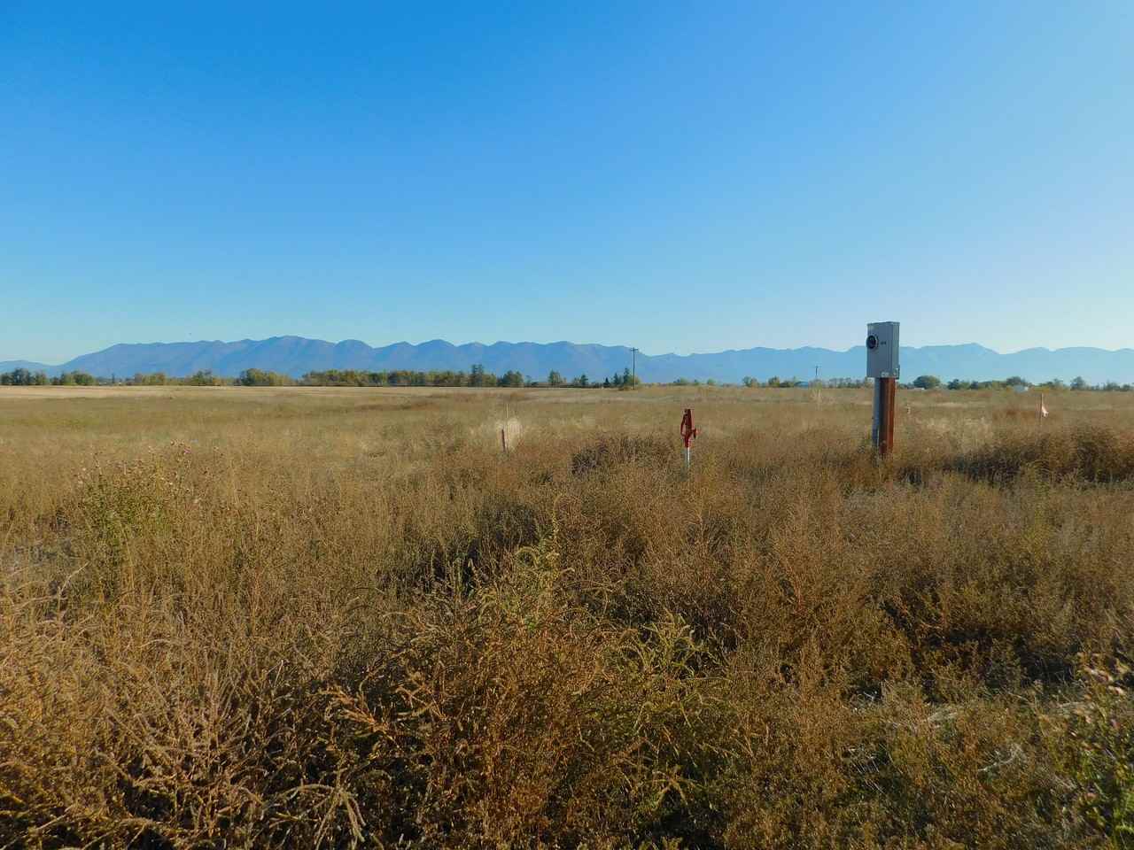 Farmhouse lane - 1 #1 - Photo 4 of 12