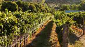 300 Opus Lane - Photo 1 of 1