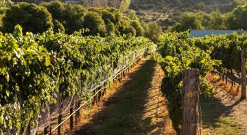 featured image of 300 Opus Lane