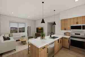 featured image of 300 Opus Lane