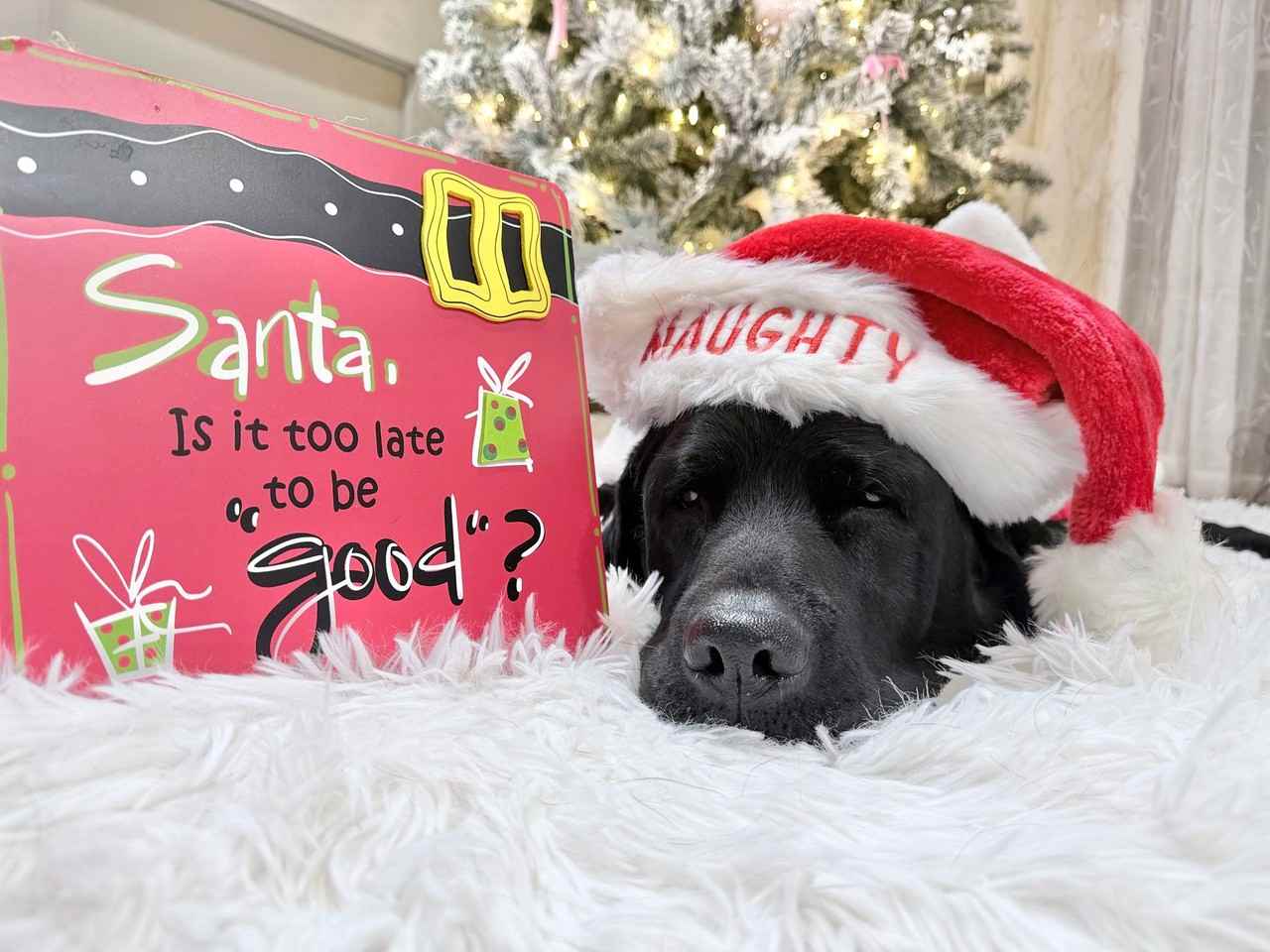 3703 Claypond Rd - Photo 2 of 50