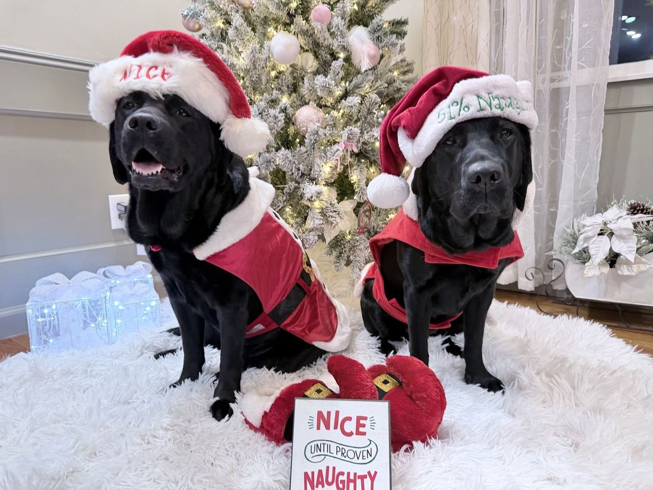 3703 Claypond Rd - Photo 3 of 50