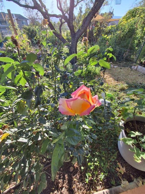 4020 E Creek View Dr - Photo 7 of 31