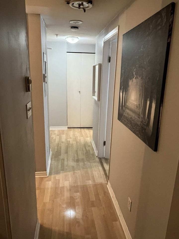 438 Seymour St - Photo 3 of 20