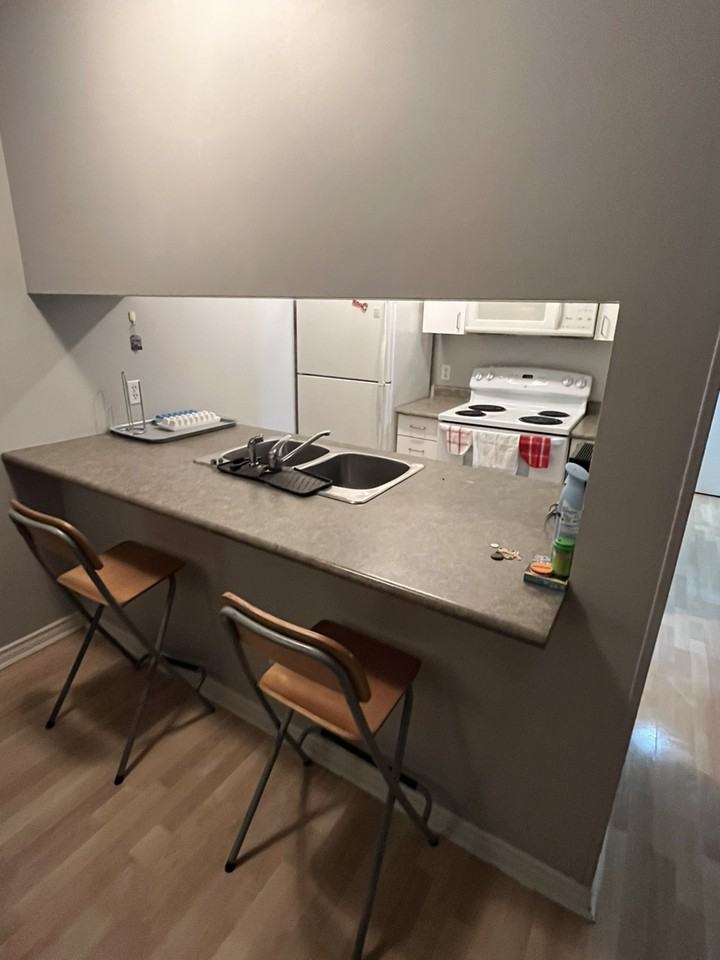 438 Seymour St - Photo 7 of 20