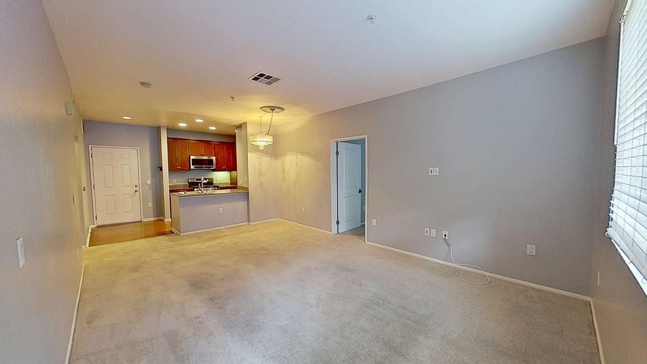 2215 Scholarship - Photo 7 of 19