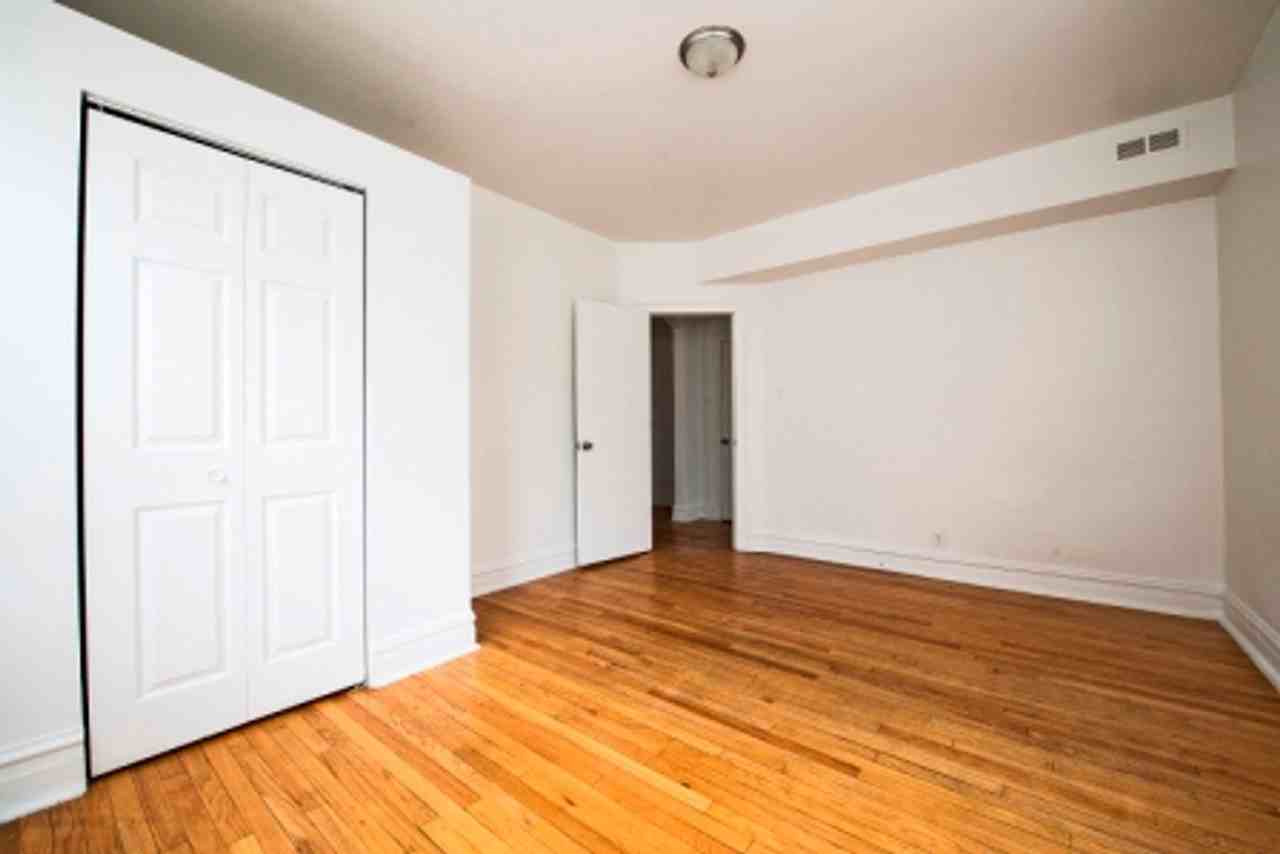 6933 S Indiana Chicago, IL 60637 - Photo 3 of 13