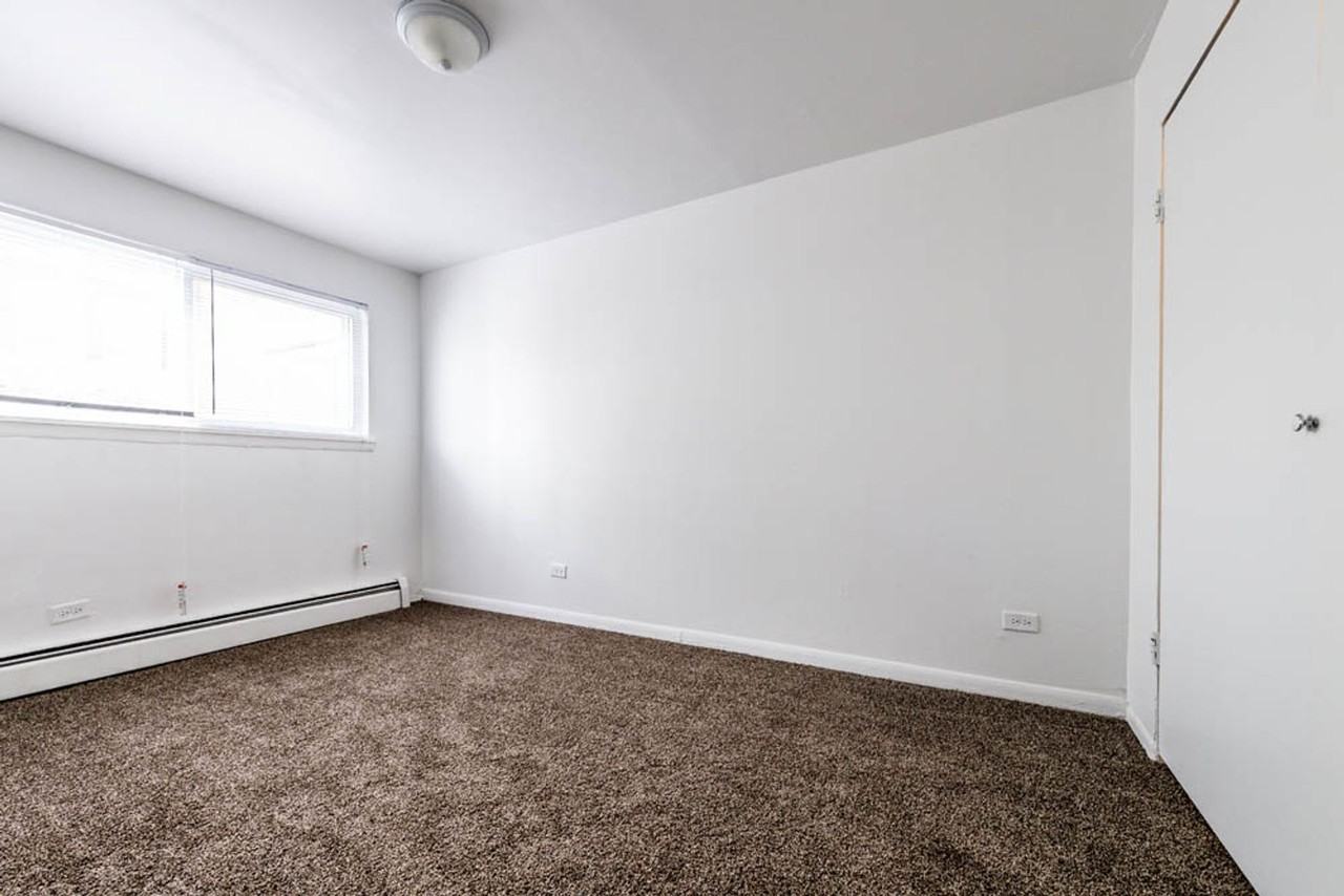 8901 S Cottage Grove Ave Chicago, IL 60619 - Photo 3 of 15