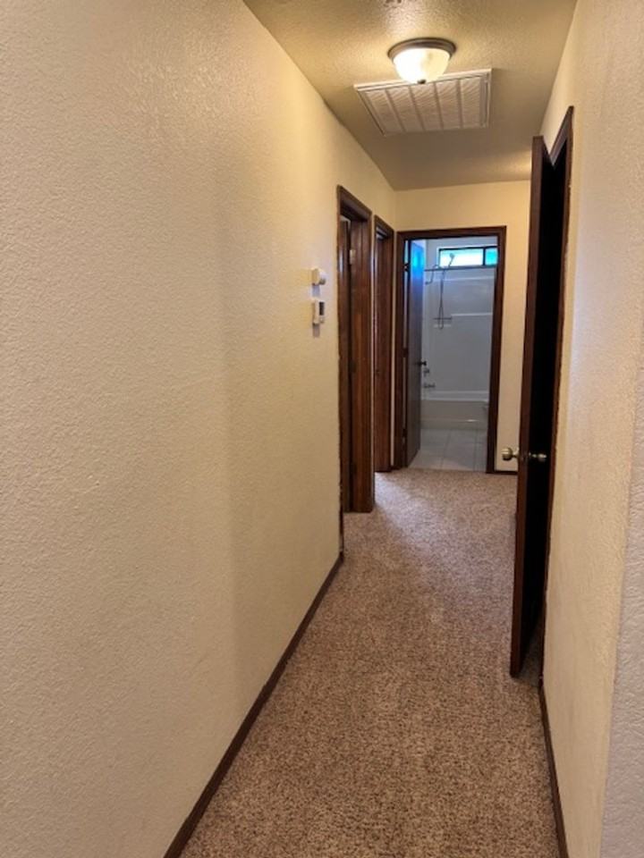 1585 Arroyo Manor Dr - Photo 3 of 25