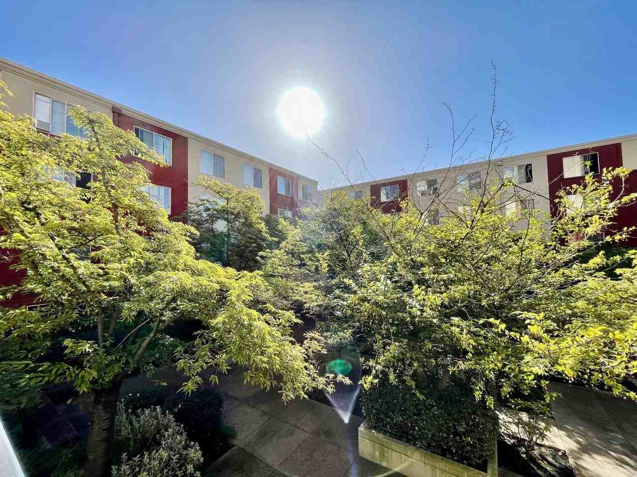 Pearl Court - Photo 3 of 7