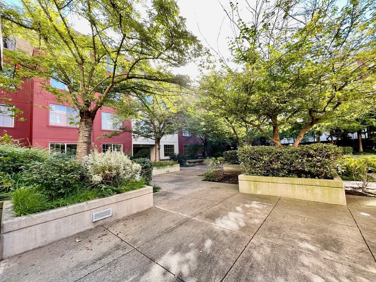 Pearl Court - Photo 4 of 7