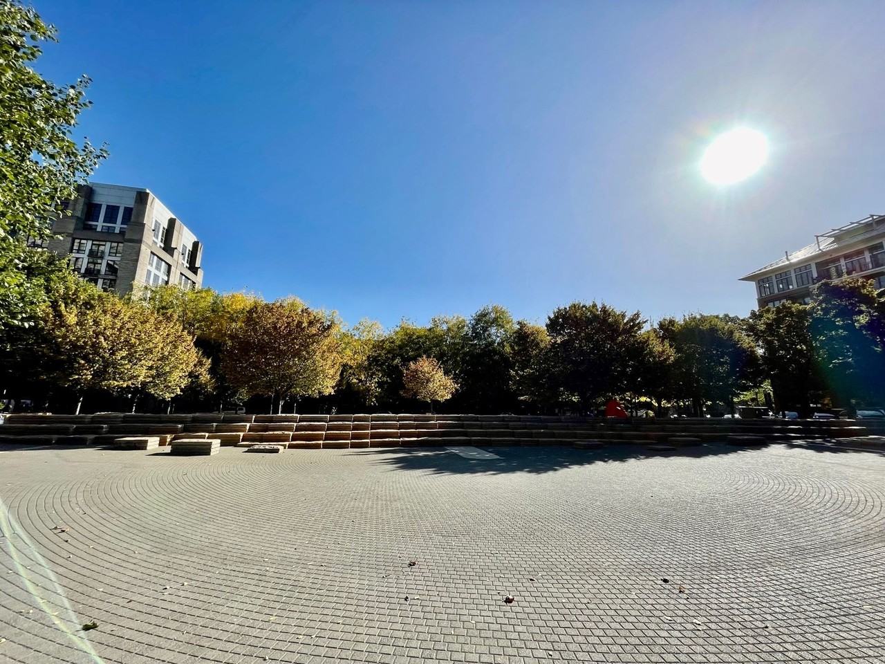 Pearl Court - Photo 6 of 7