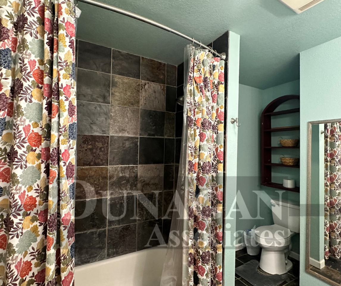 1027 Alamosa St - Photo 7 of 10