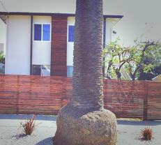 704 N Rampart Blvd - Photo 1 of 1