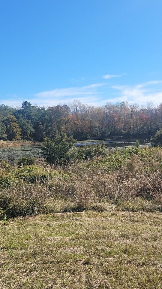 2 Kemp Dr - Photo 2 of 5