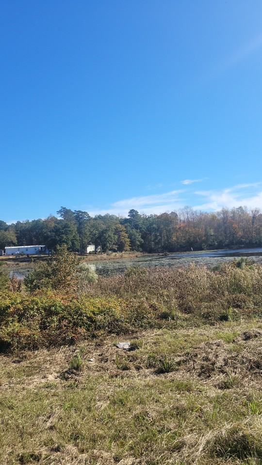 2 Kemp Dr - Photo 4 of 5