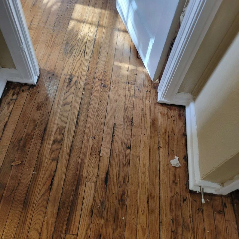 3835 N Tacoma Ave - Photo 2 of 8