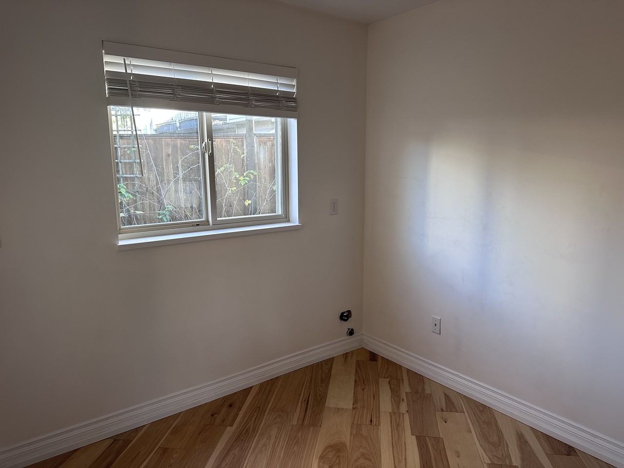 11533 236B Street - Photo 6 of 12