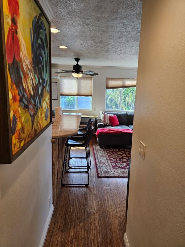 293 Alaume St - Photo 5 of 14