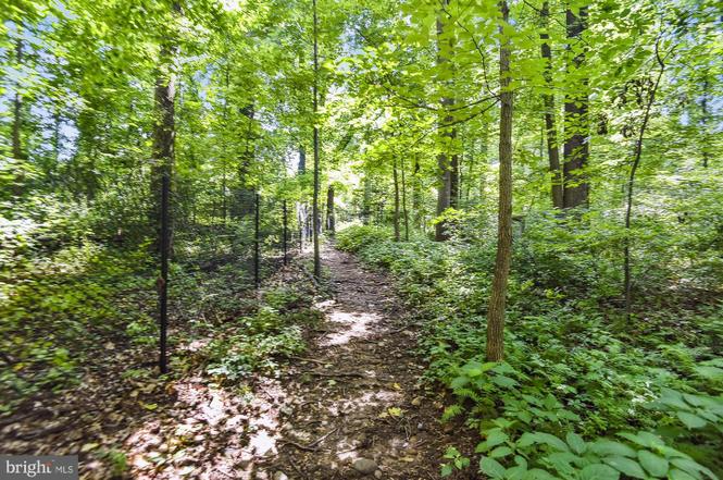 2230 George C Marshall Dr #416 - Photo 2 of 20