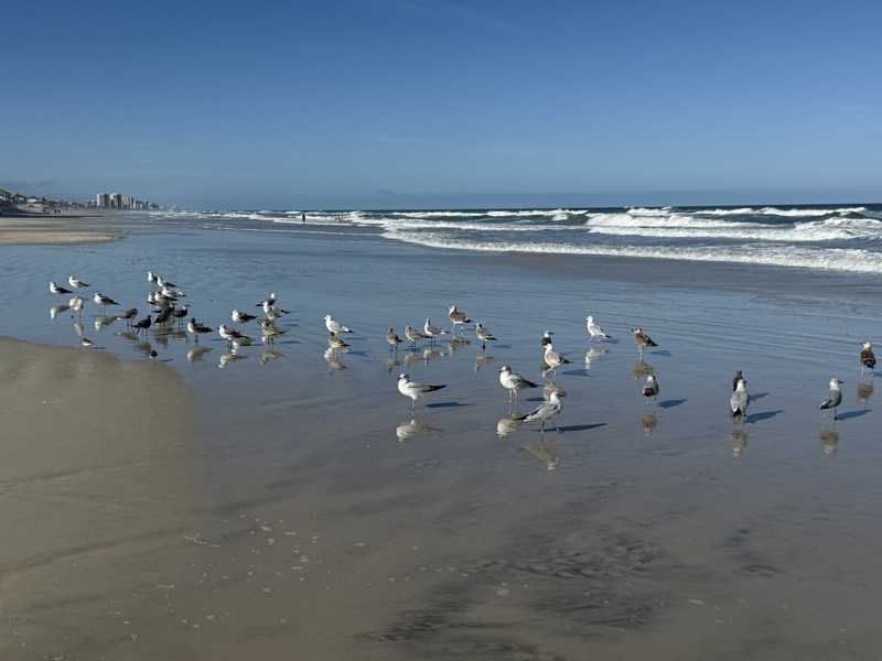 1 S Atlantic Ave - Photo 4 of 9