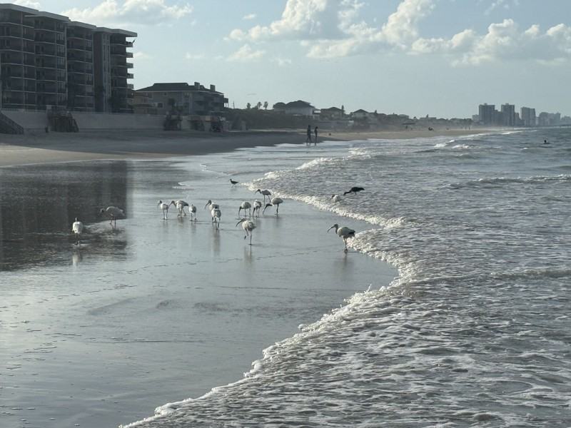 1 S Atlantic Ave - Photo 7 of 9