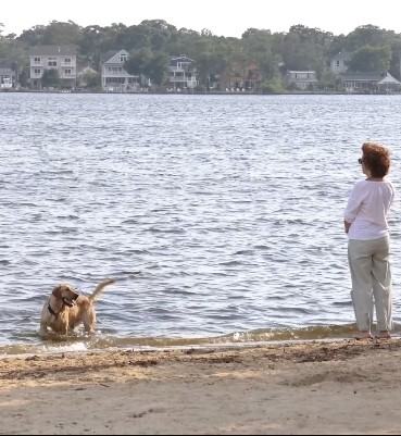 17 4th St #1 - Photo 5 of 17