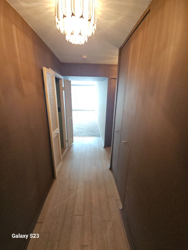 6033 N Sheridan Rd #37L - Photo 4 of 20