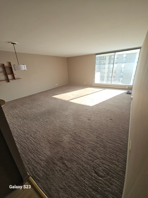 6033 N Sheridan Rd #37L - Photo 5 of 20