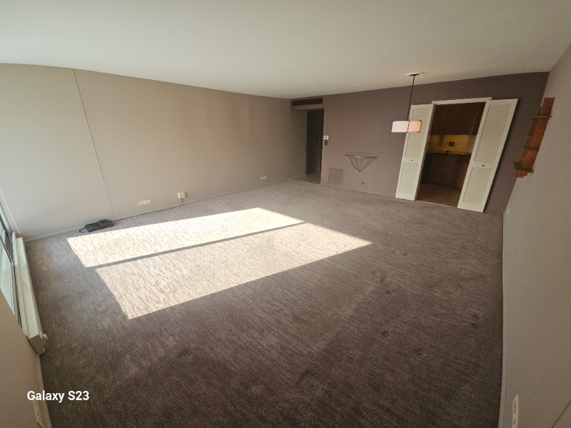 6033 N Sheridan Rd #37L - Photo 6 of 20