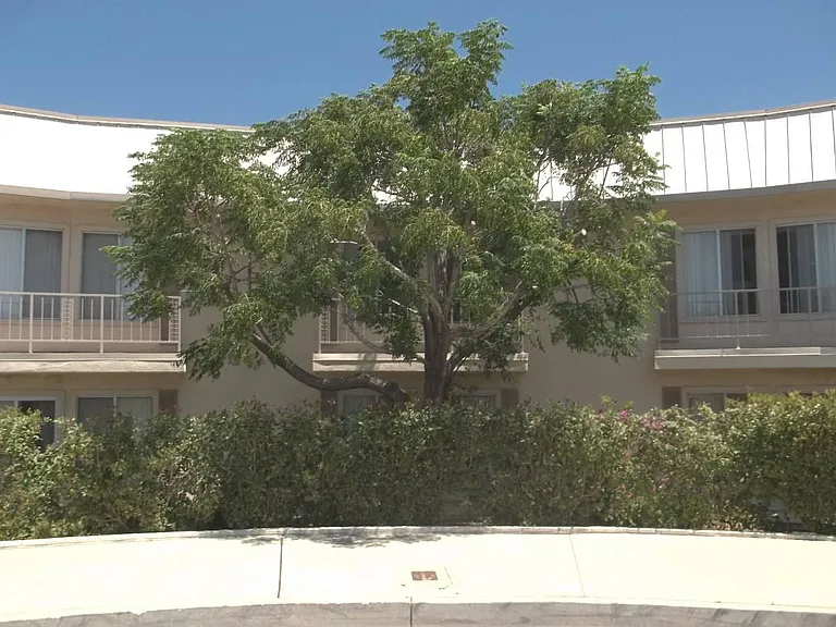 522 E Avenue Q5 - Photo 2 of 11