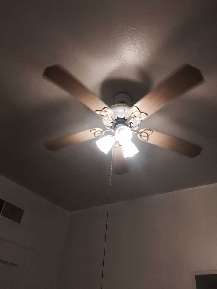 703 Salem St #5 - Photo 6 of 7