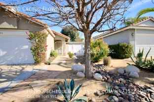 27800 Cactus Flower Dr - Photo 1 of 1