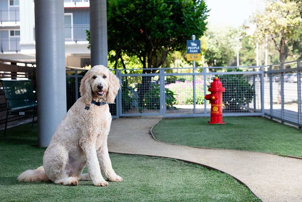 Park West - Photo 5 of 43