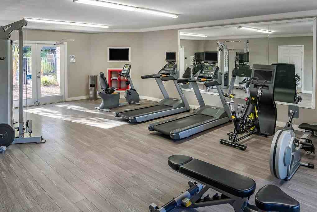 Regency at Mountain View - Photo 4 of 38