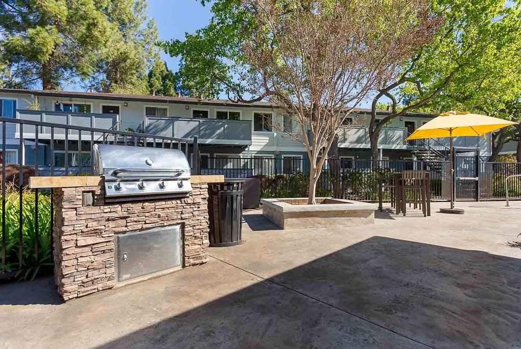 The Woods - Photo 5 of 34