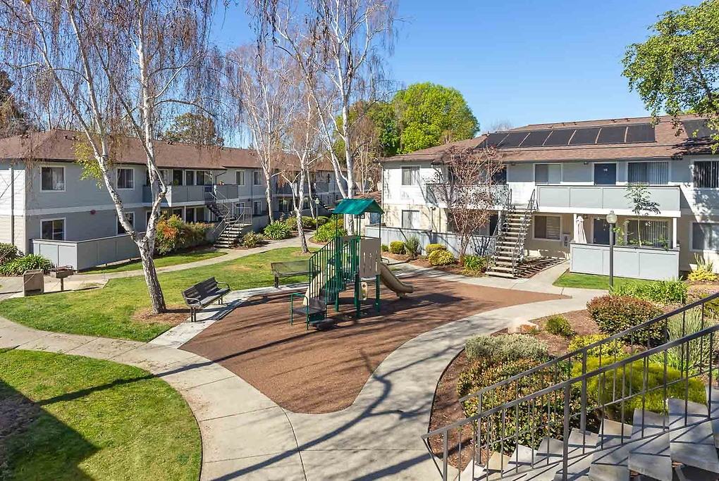 The Woods - Photo 6 of 34