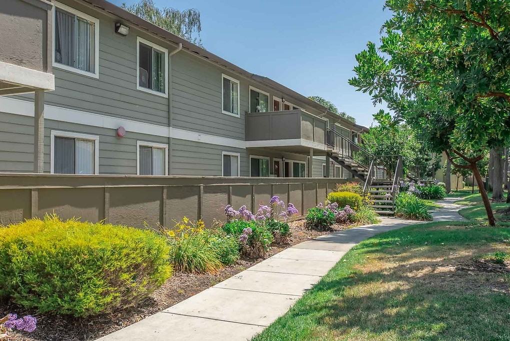 The Woods - Photo 7 of 34