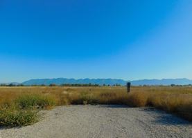 featured image of Farmhouse lane