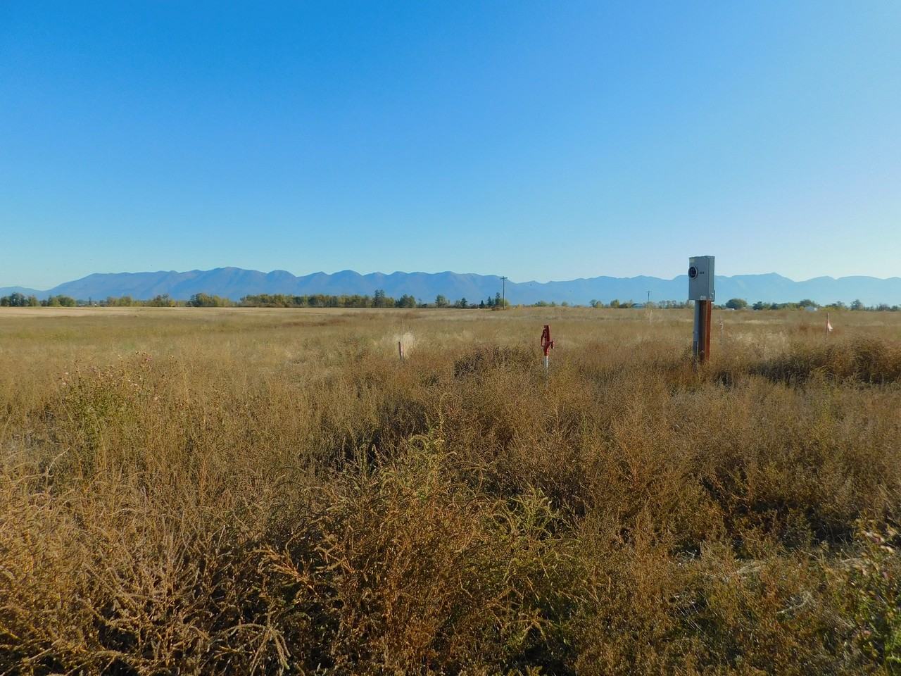 Farmhouse lane - Photo 4 of 12