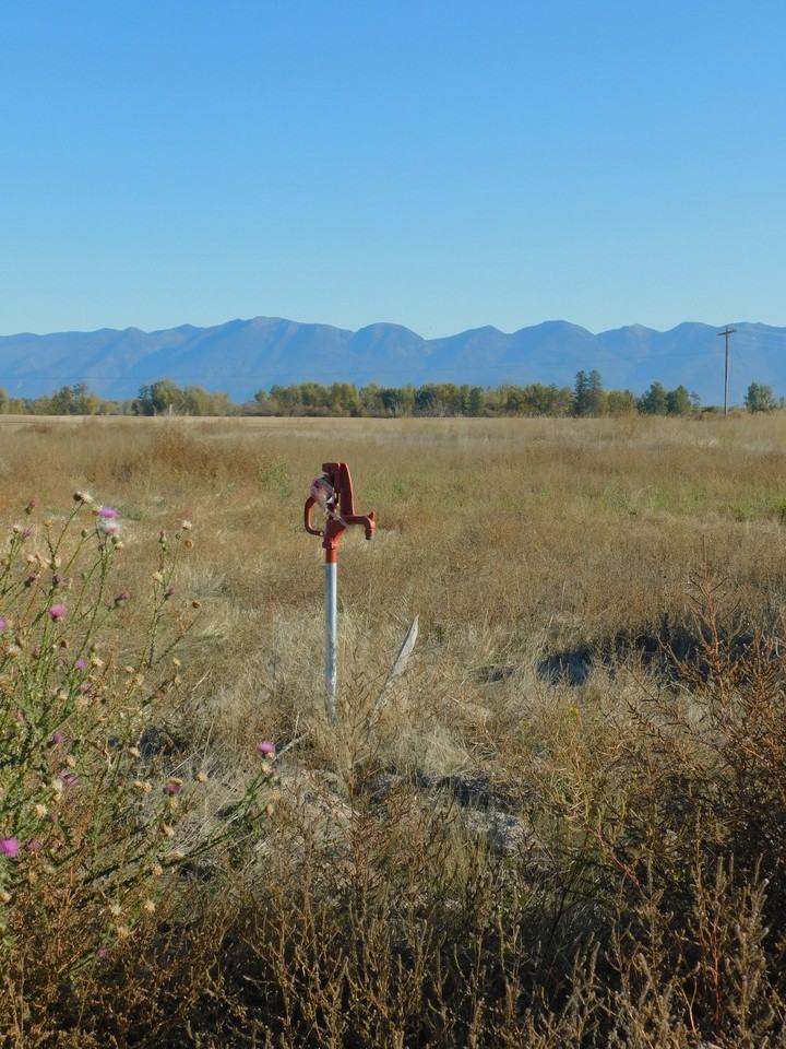 Farmhouse lane - Photo 6 of 12