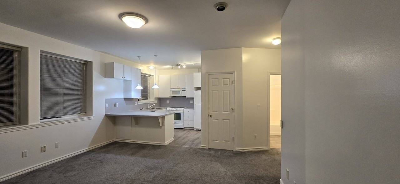 5106 Green Lake Way N. - Photo 5 of 17