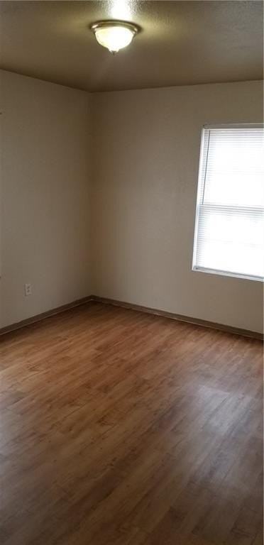 405 Sisters Ave #203 - Photo 5 of 7