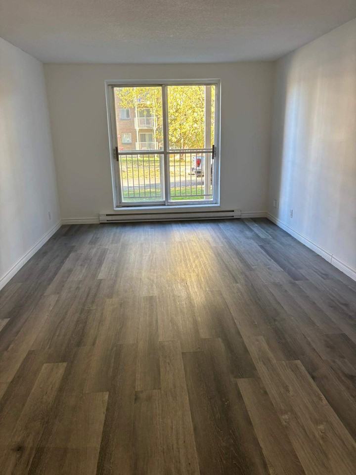 42 Bedard - Photo 7 of 50