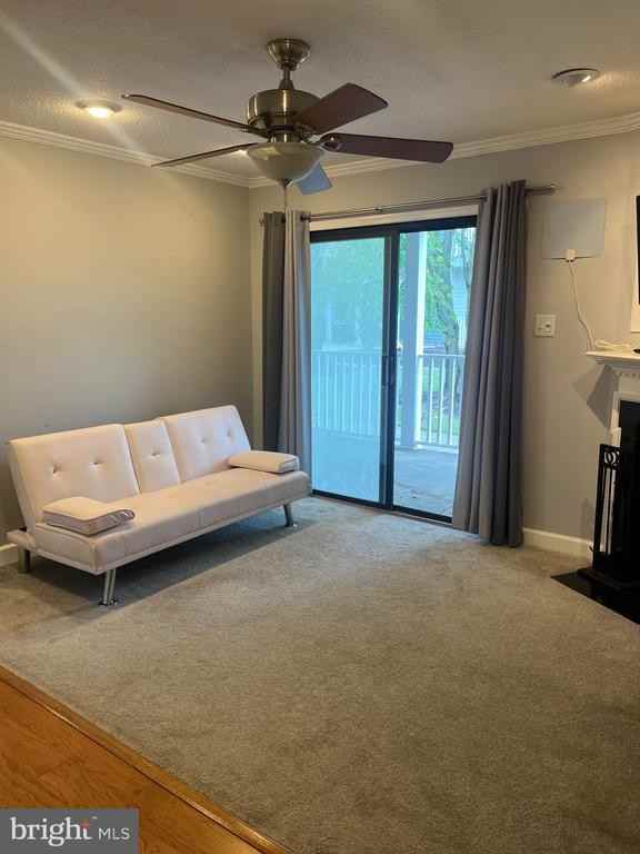 505 Gregorys Way - Photo 6 of 12