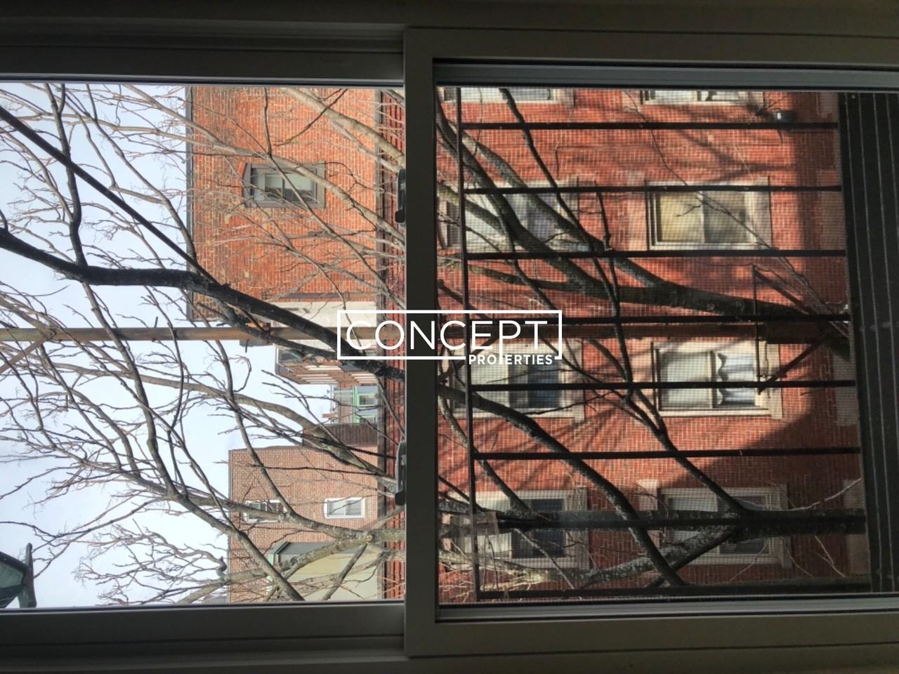 37 Cooper St #3 - Photo 7 of 23